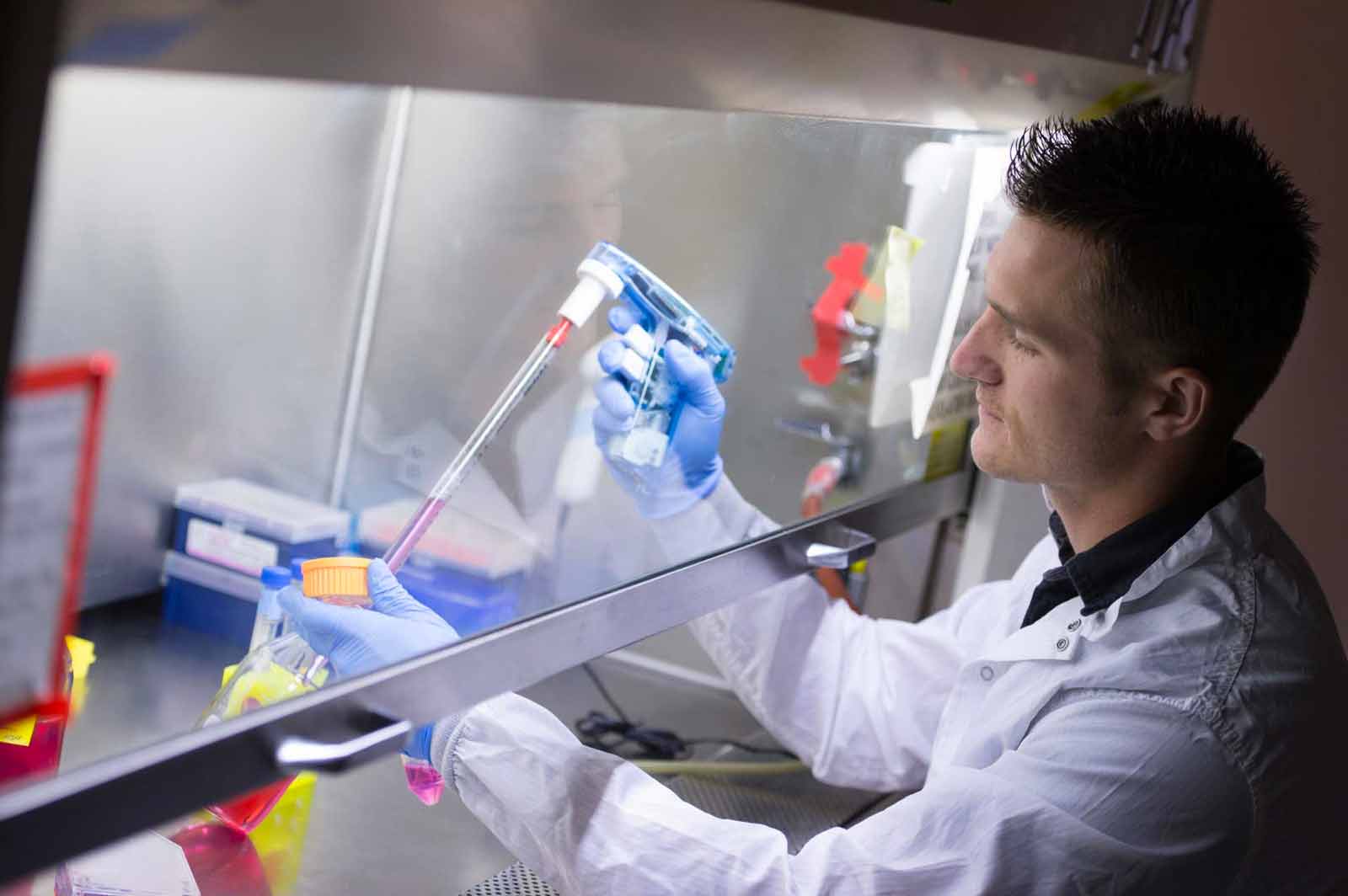 A researcher in a lab coat pipetting samples inside a biosafety cabinet